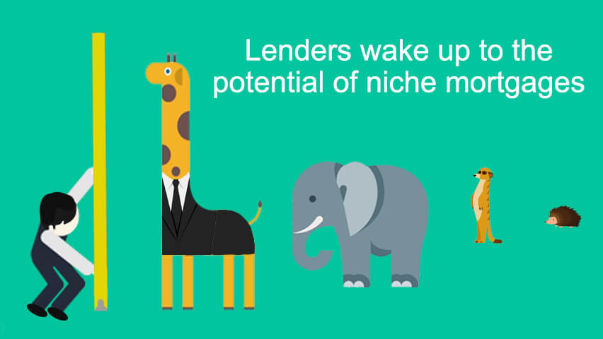 Lenders wake up to the potential of niche mortgages